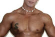 princeprofile2
